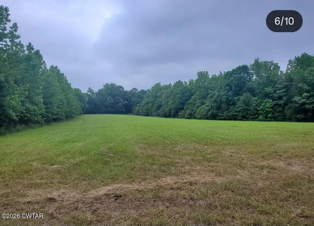 3431 Old Reagan Road Sardis, TN 38371 - Photo 19 of 25 5413