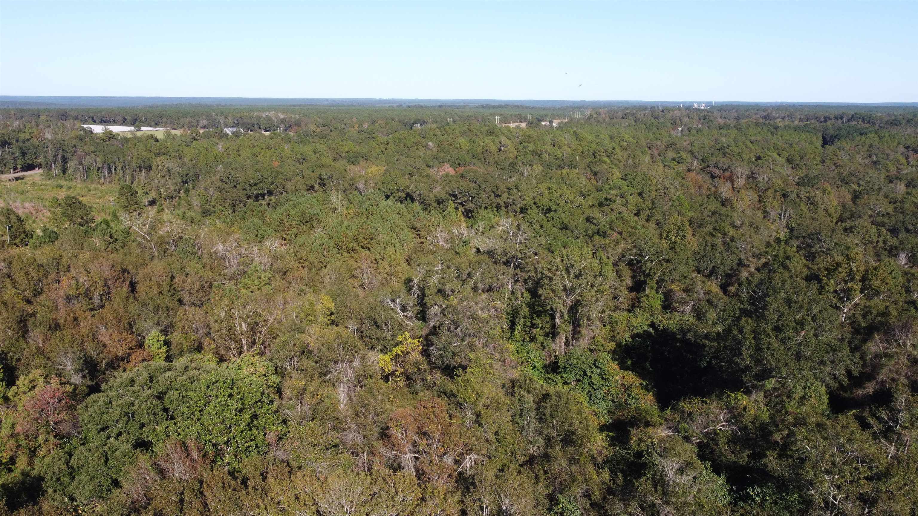 0 Cowpen Creek Road Atmore, AL 36502 - Photo 16 of 21