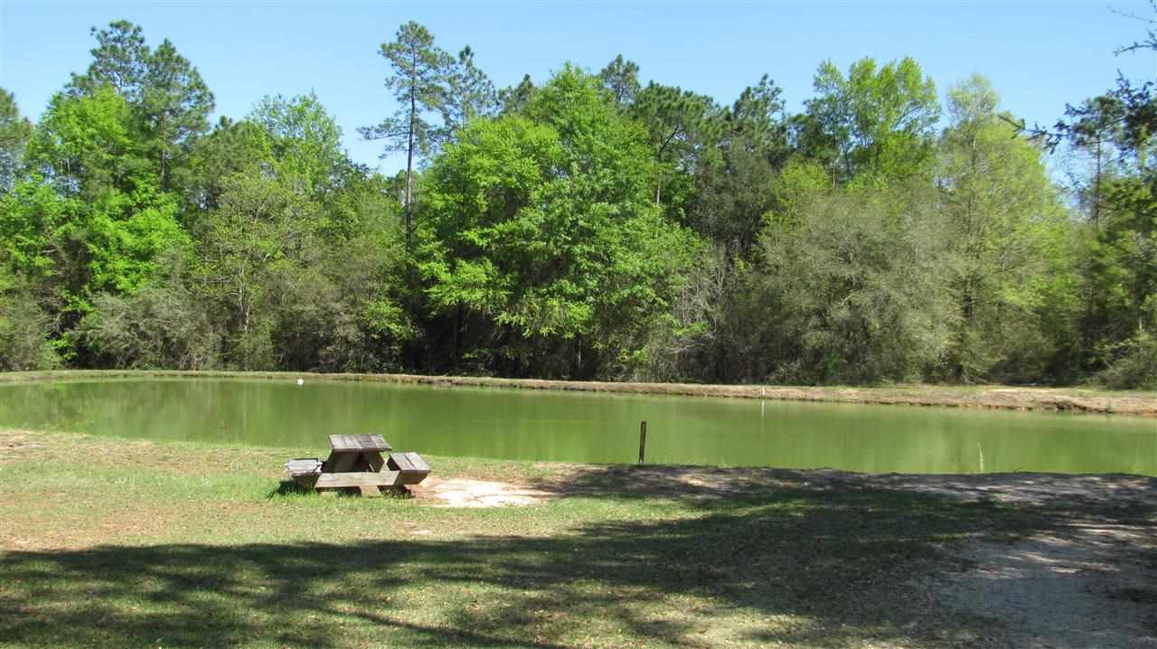 31680 Highway 90 Seminole, AL 36574 - Photo 12 of 14