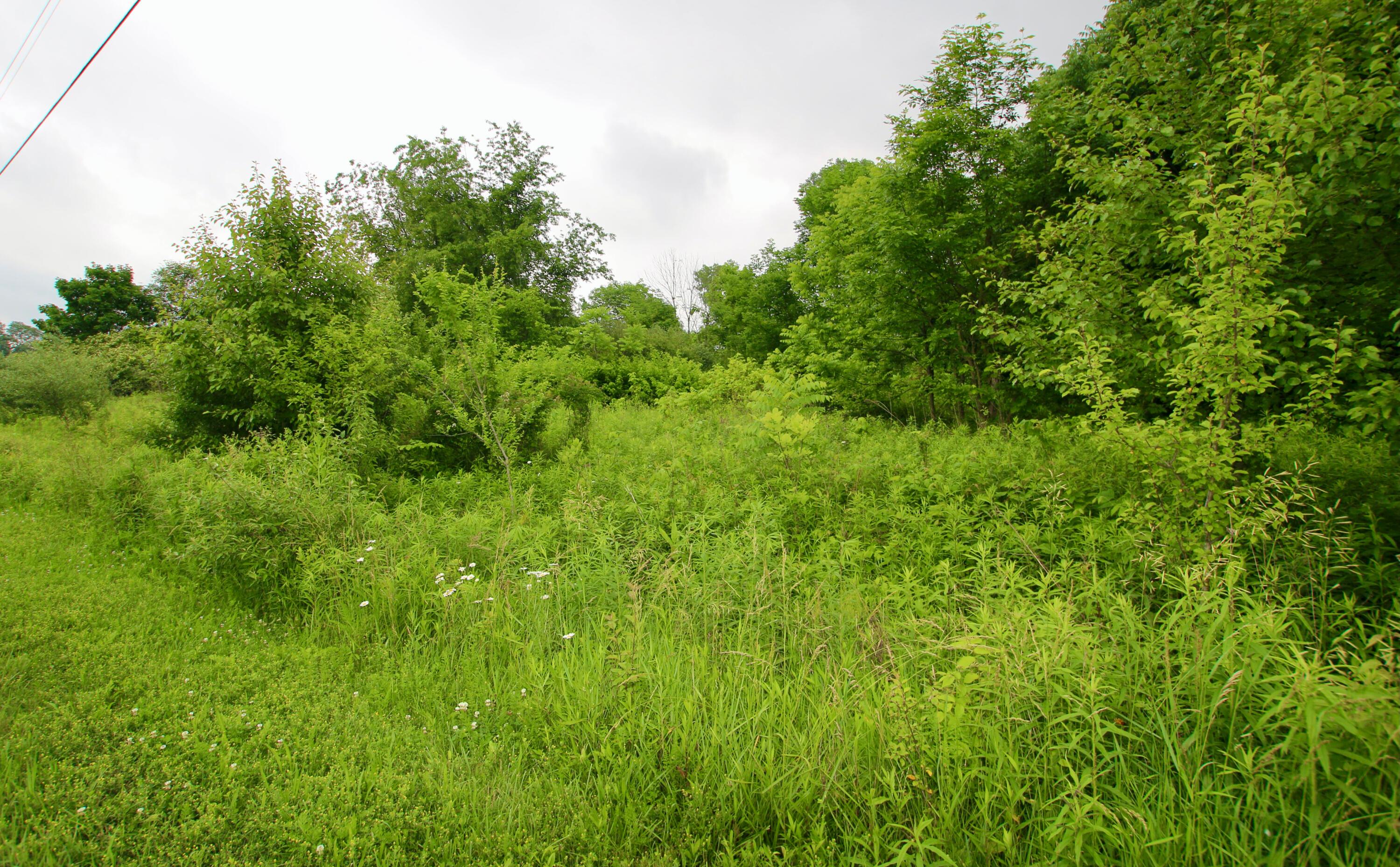 0 Vans Valley Road Galena, OH 43021 - Photo 11 of 24