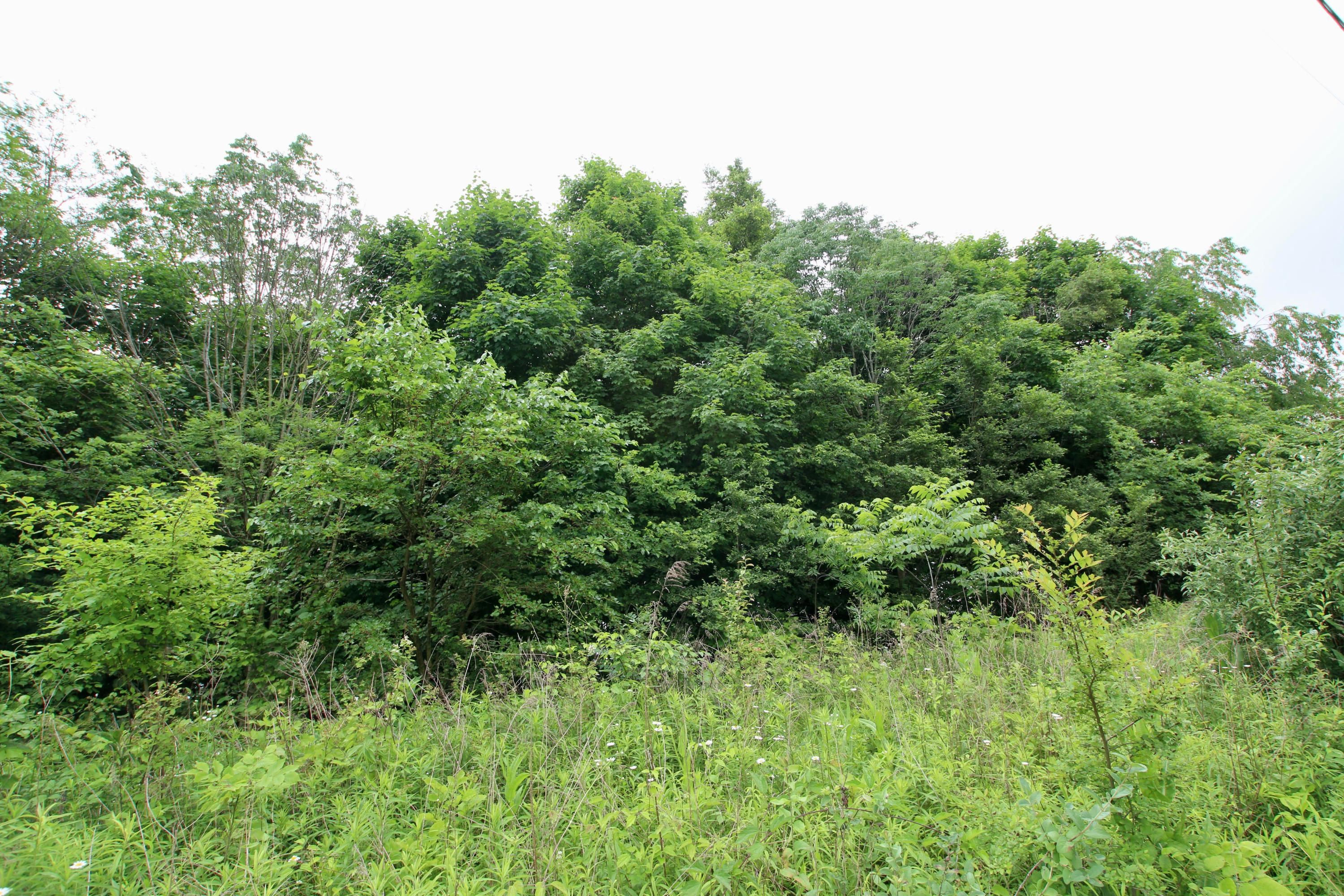 0 Vans Valley Road Galena, OH 43021 - Photo 13 of 24