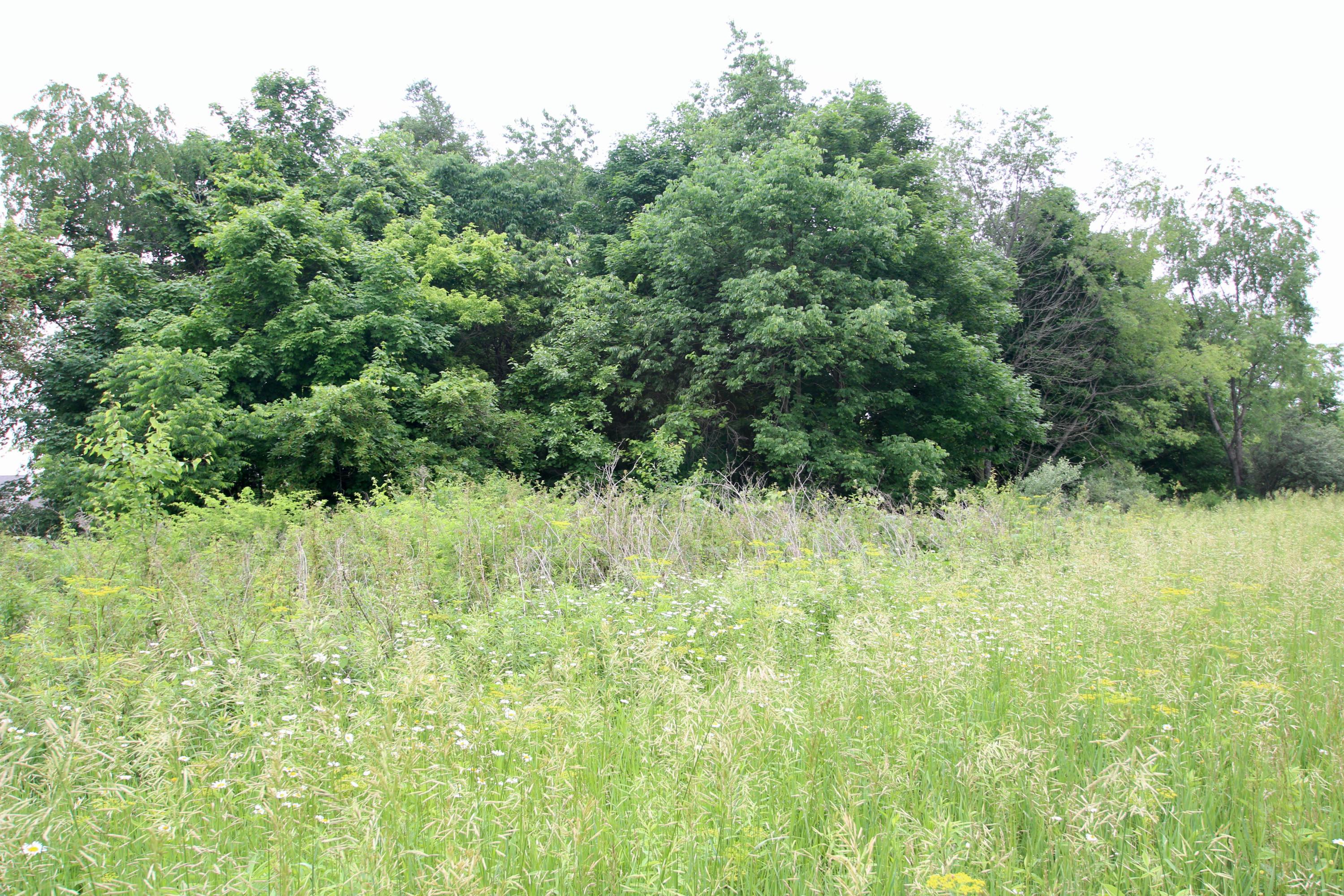 0 Vans Valley Road Galena, OH 43021 - Photo 14 of 24