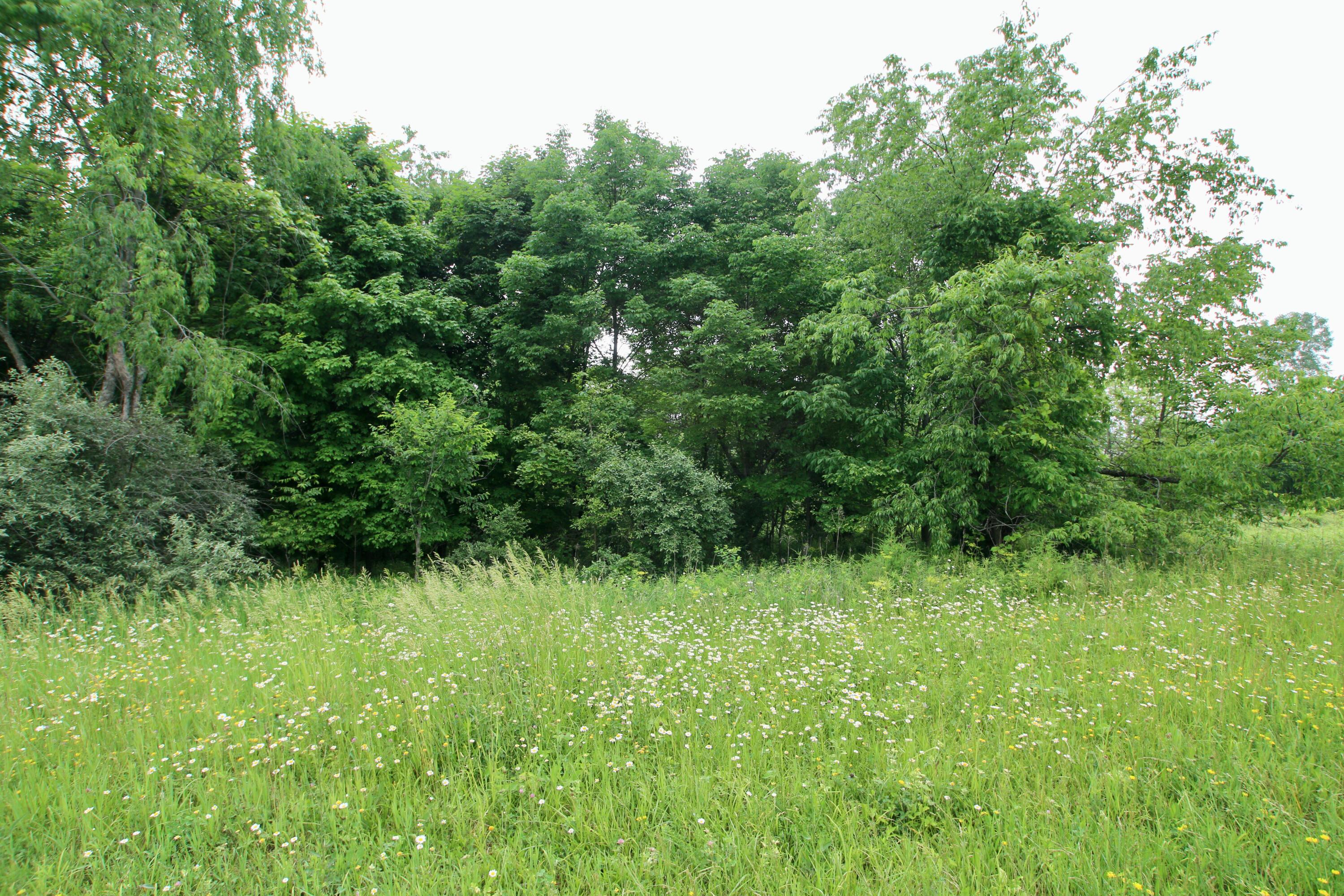 0 Vans Valley Road Galena, OH 43021 - Photo 17 of 24