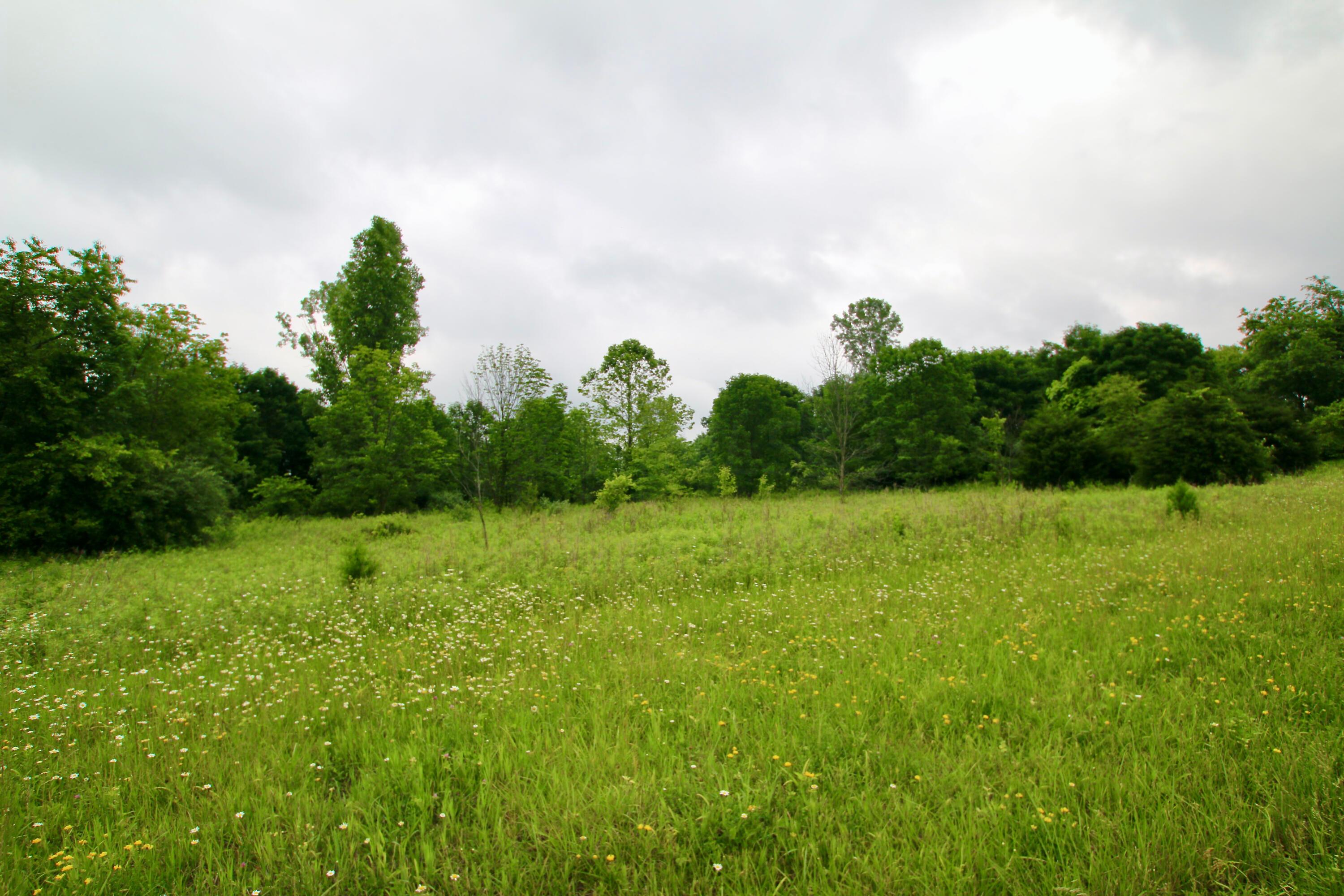 0 Vans Valley Road Galena, OH 43021 - Photo 18 of 24