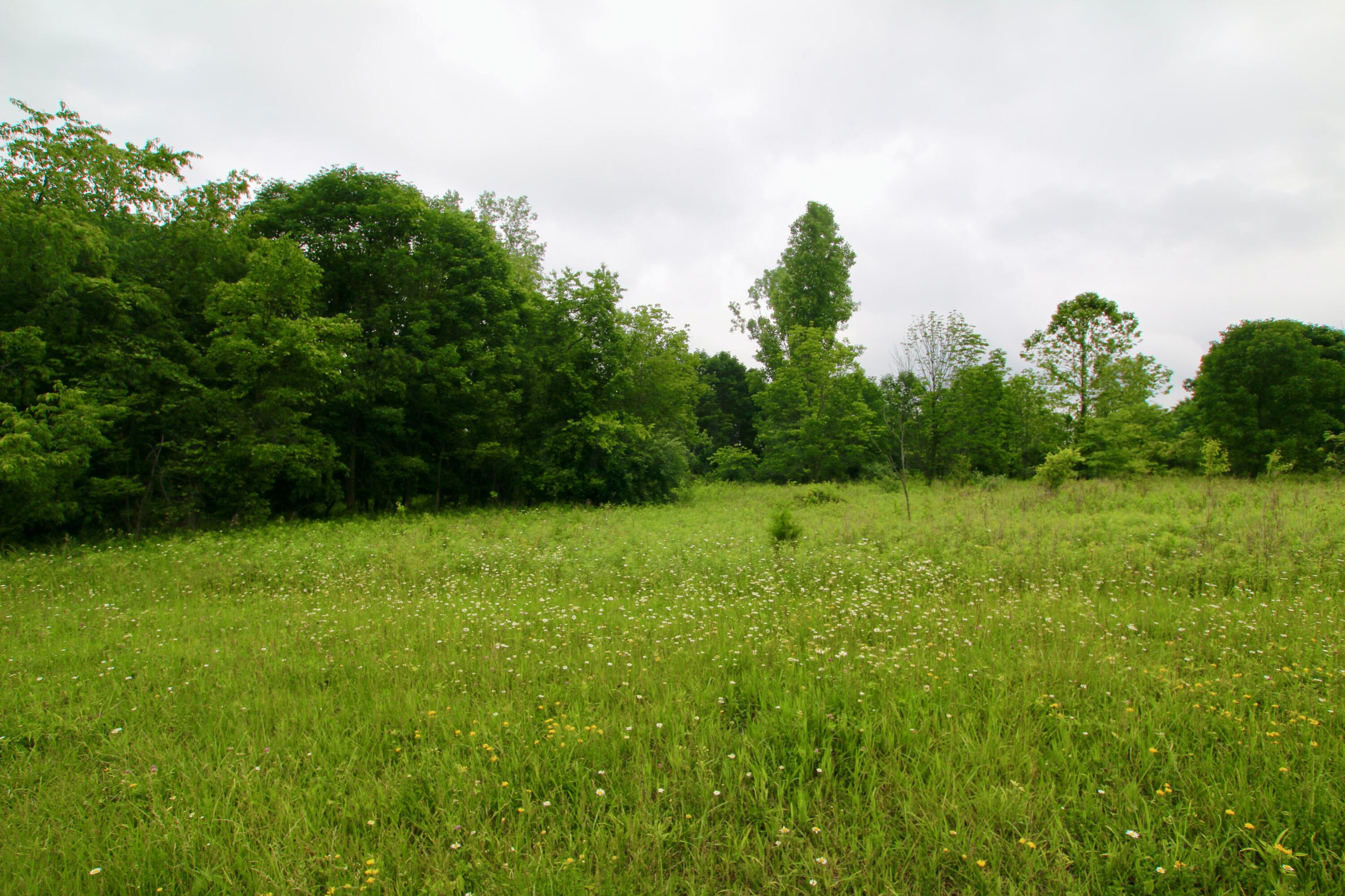 0 Vans Valley Road Galena, OH 43021 - Photo 19 of 24