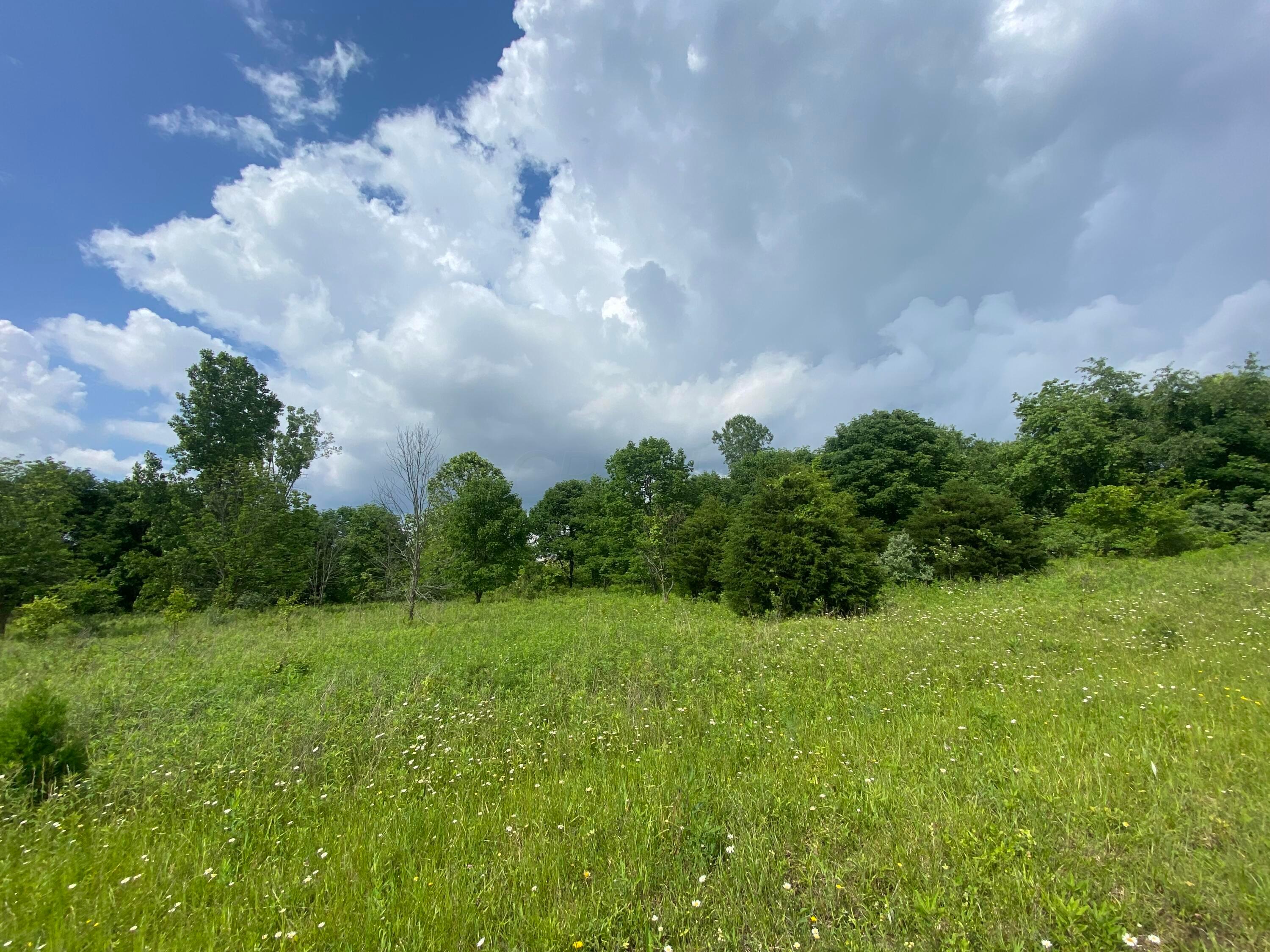 0 Vans Valley Road Galena, OH 43021 - Photo 2 of 24