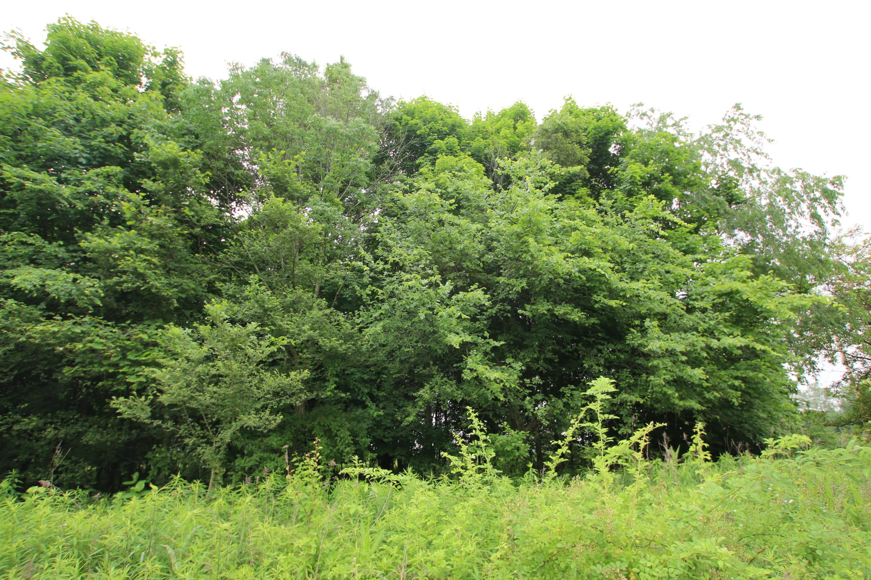0 Vans Valley Road Galena, OH 43021 - Photo 21 of 24