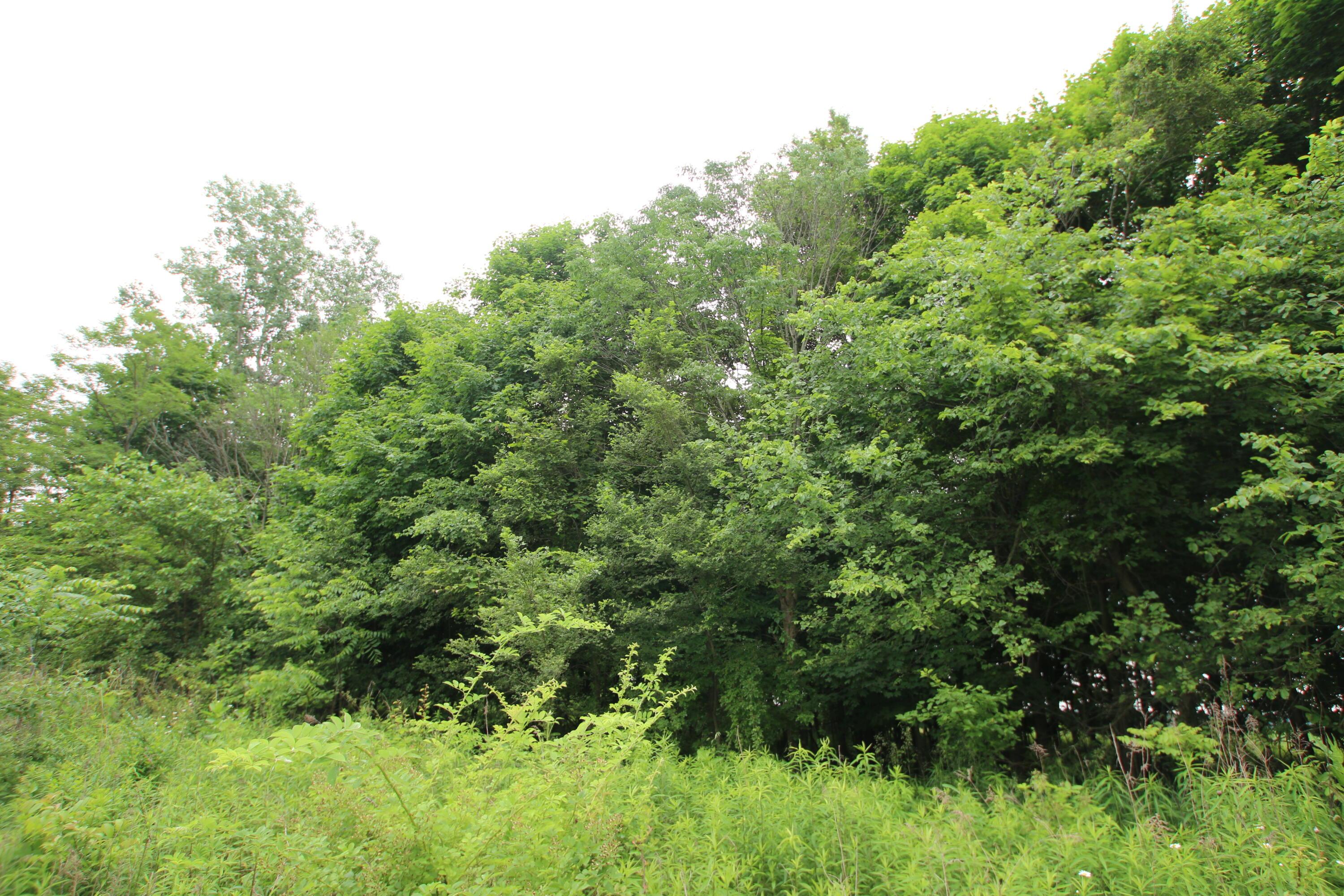 0 Vans Valley Road Galena, OH 43021 - Photo 22 of 24