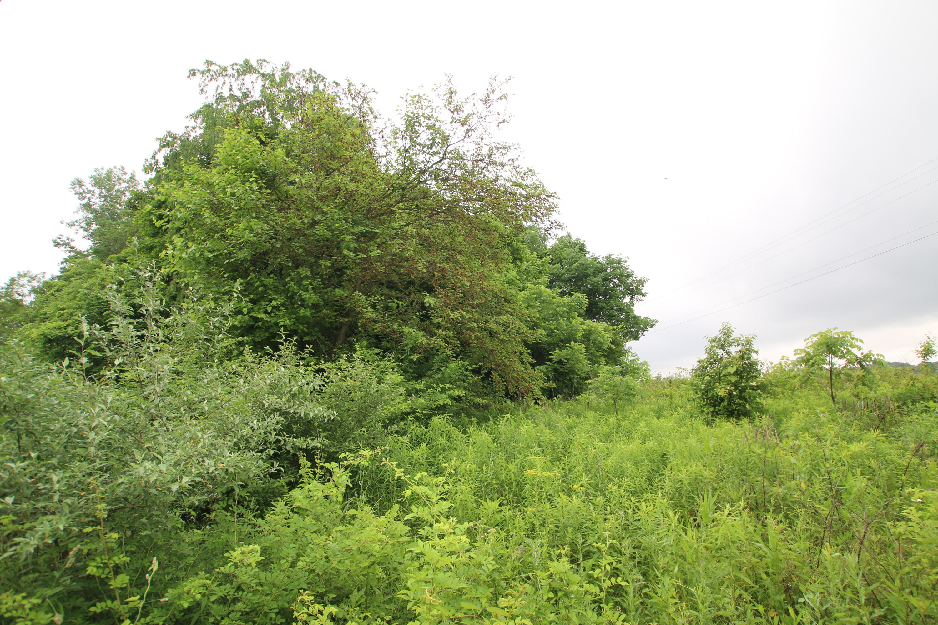 0 Vans Valley Road Galena, OH 43021 - Photo 23 of 24