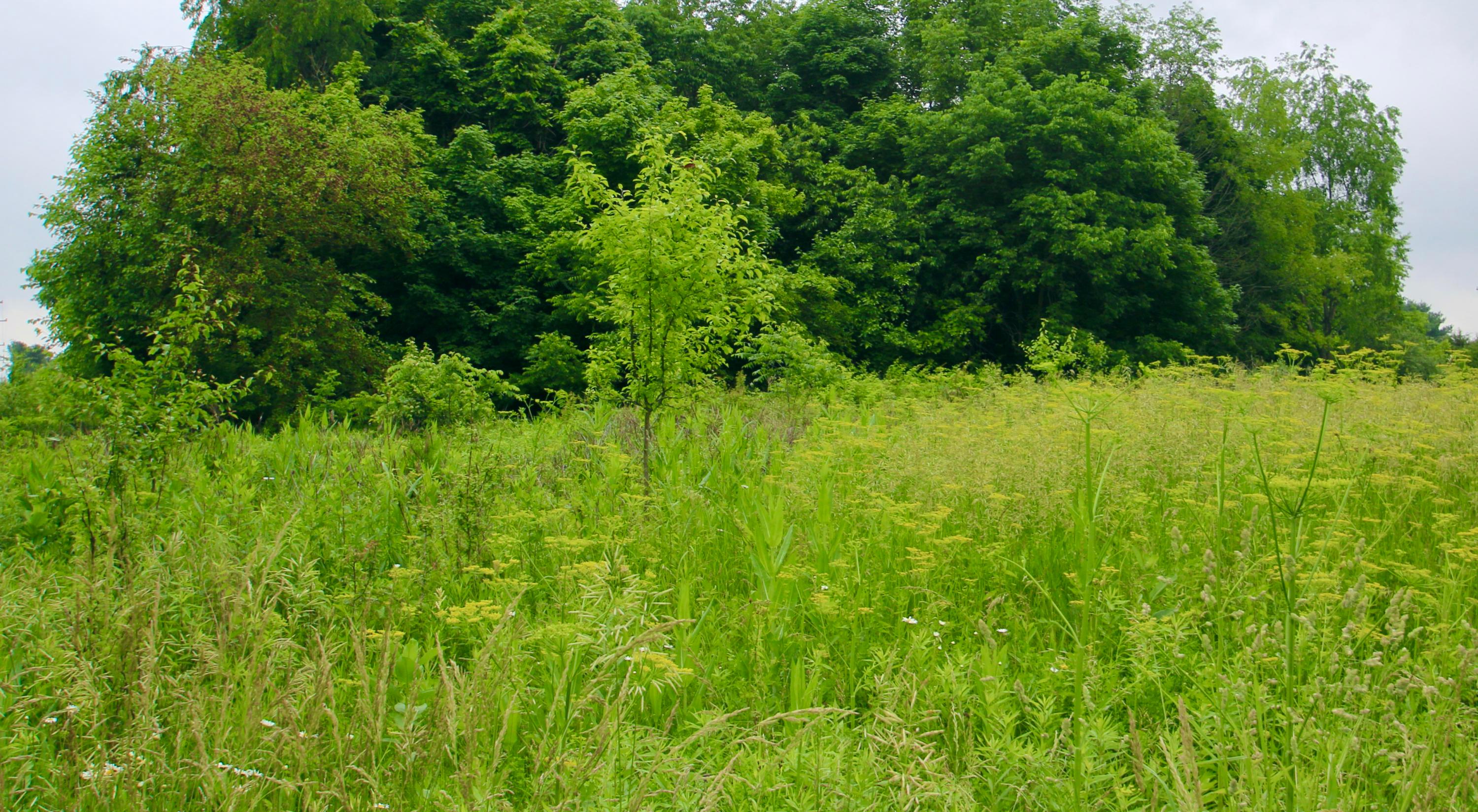 0 Vans Valley Road Galena, OH 43021 - Photo 24 of 24