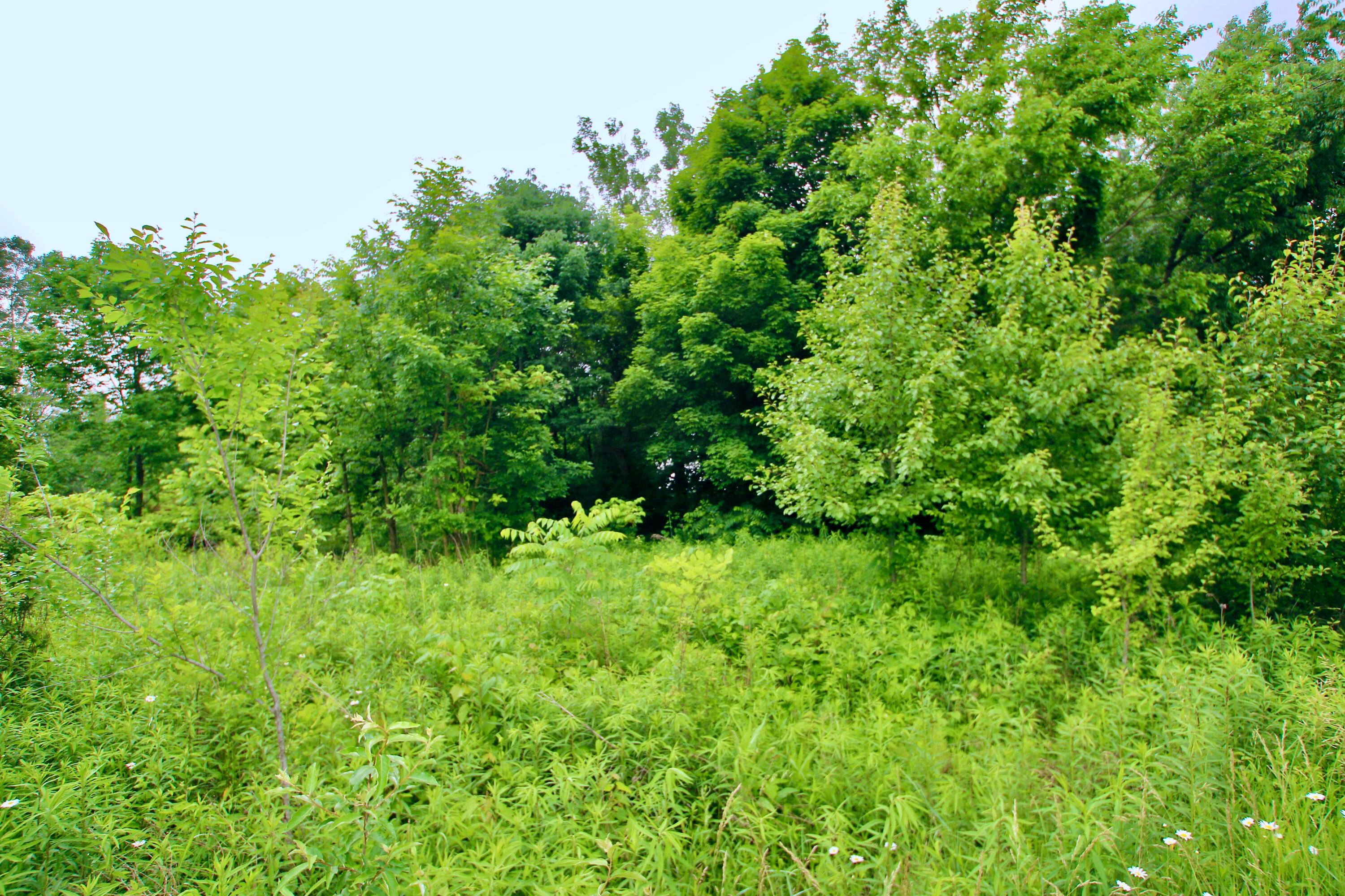 0 Vans Valley Road Galena, OH 43021 - Photo 6 of 24