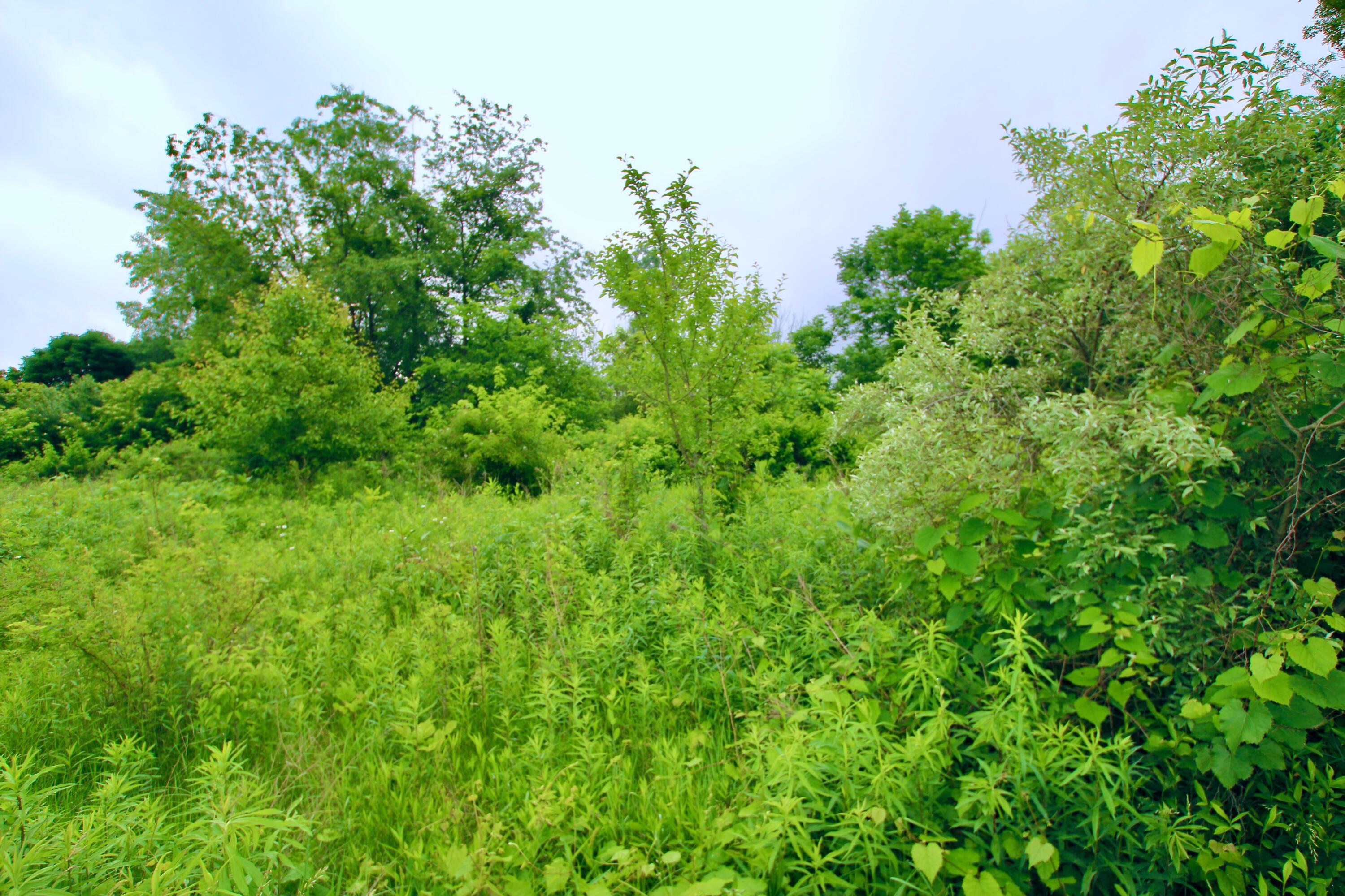0 Vans Valley Road Galena, OH 43021 - Photo 7 of 24