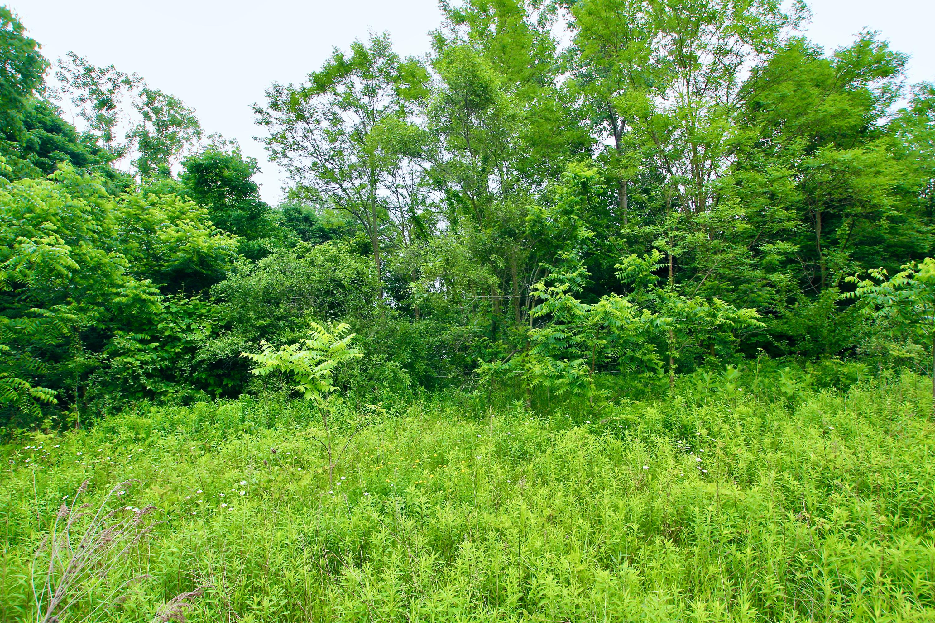 0 Vans Valley Road Galena, OH 43021 - Photo 8 of 24