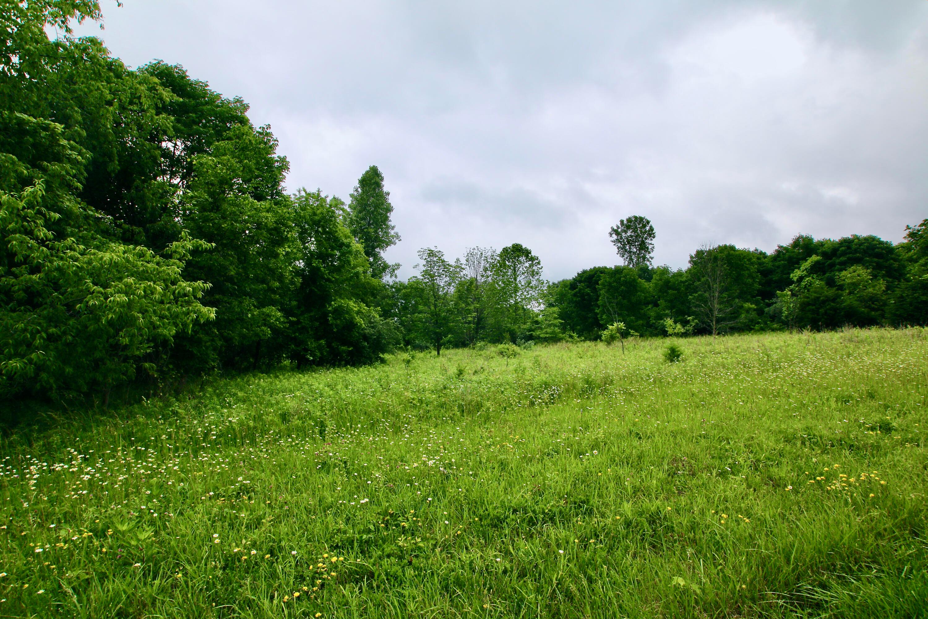 0 Vans Valley Road Galena, OH 43021 - Photo 9 of 24