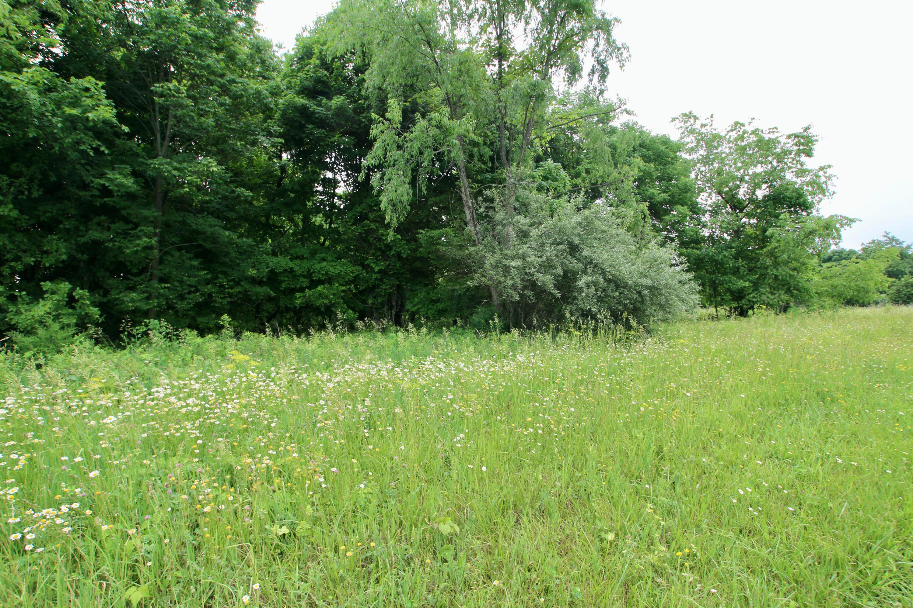 0 Vans Valley Road Galena, OH 43021 - Photo 10 of 24
