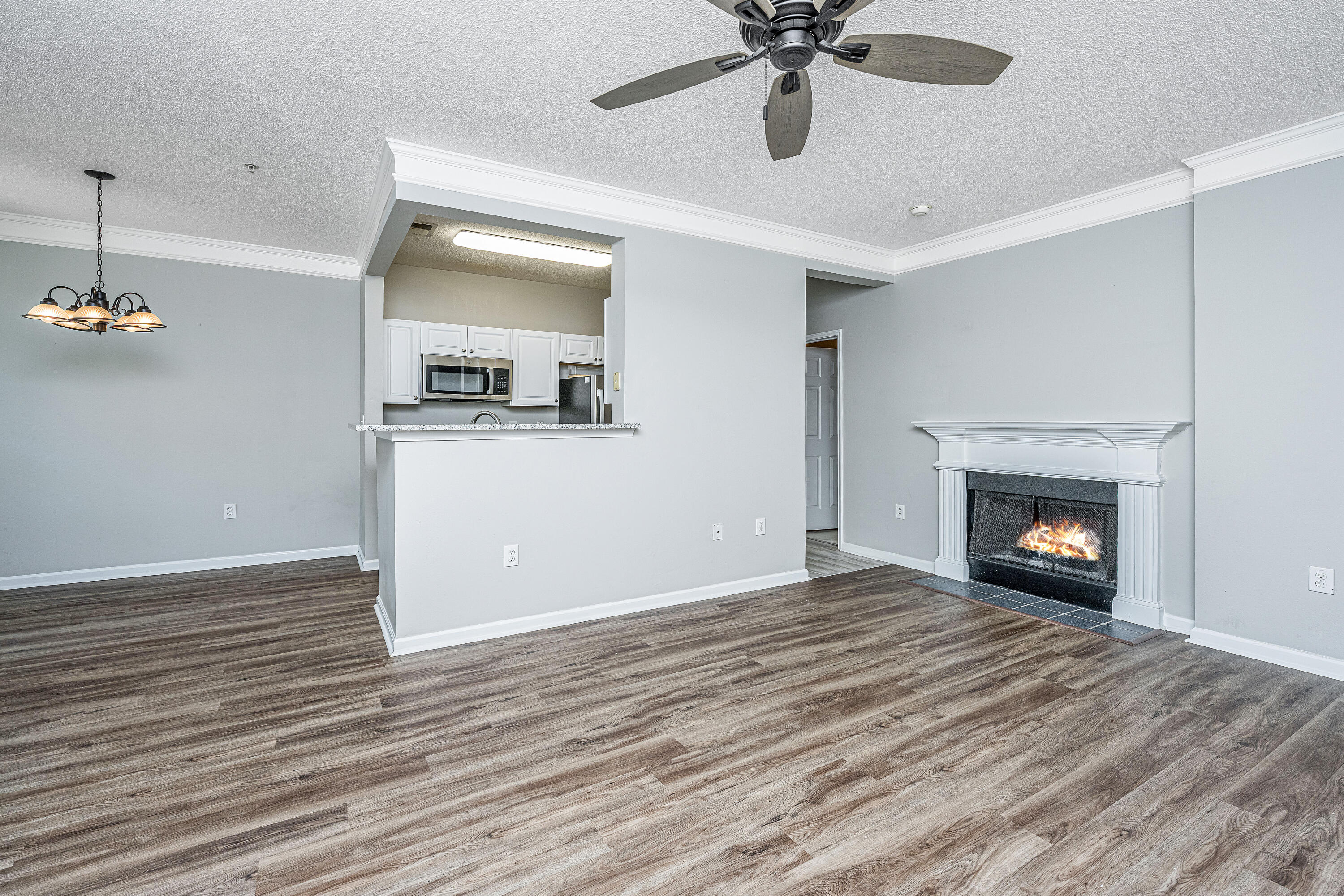2128 Chatelain Way Mount Pleasant, SC 29464 - Photo 10 of 72 2128ChatelainWay012