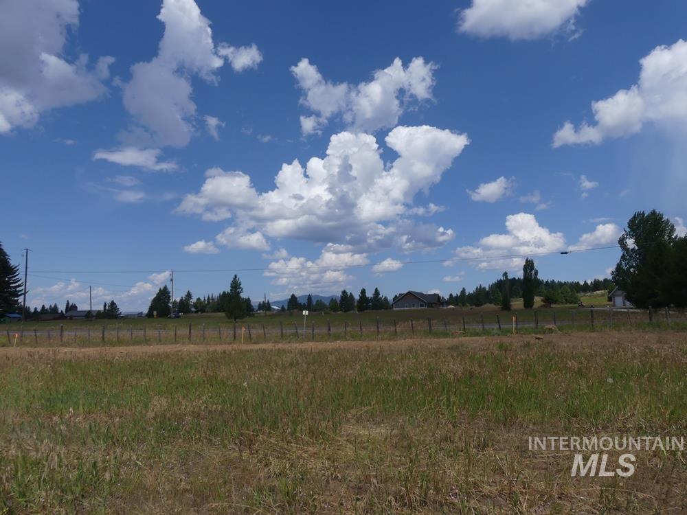 Lot 1 Springer Court McCall, ID 83638 - Photo 4 of 9