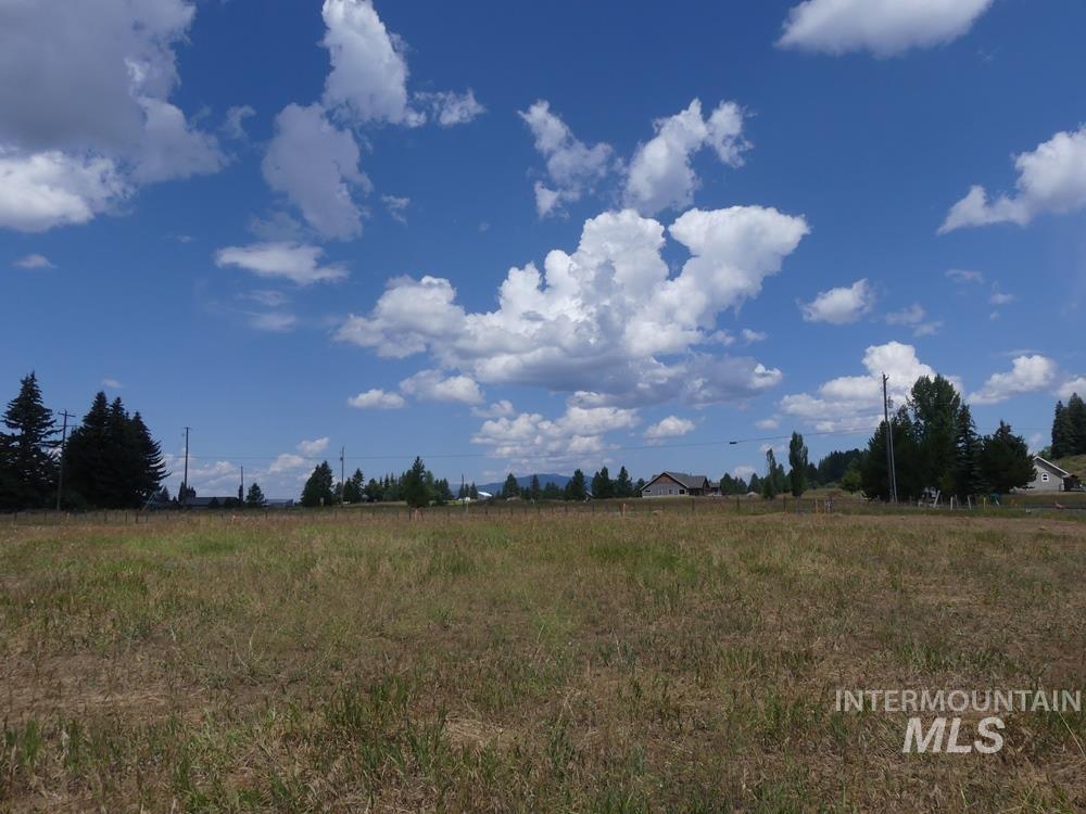Lot 1 Springer Court McCall, ID 83638 - Photo 5 of 9