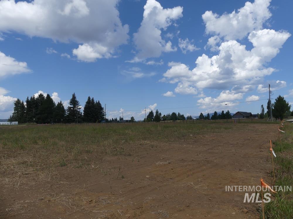 Lot 1 Springer Court McCall, ID 83638 - Photo 7 of 9