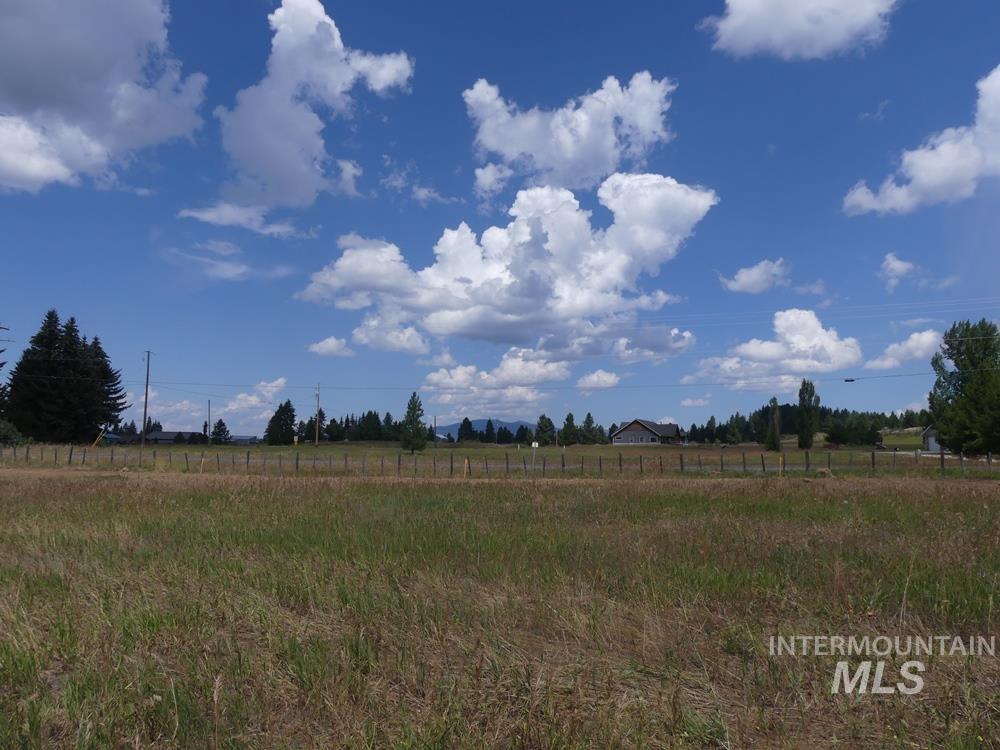 Lot 1 Springer Court McCall, ID 83638 - Photo 8 of 9