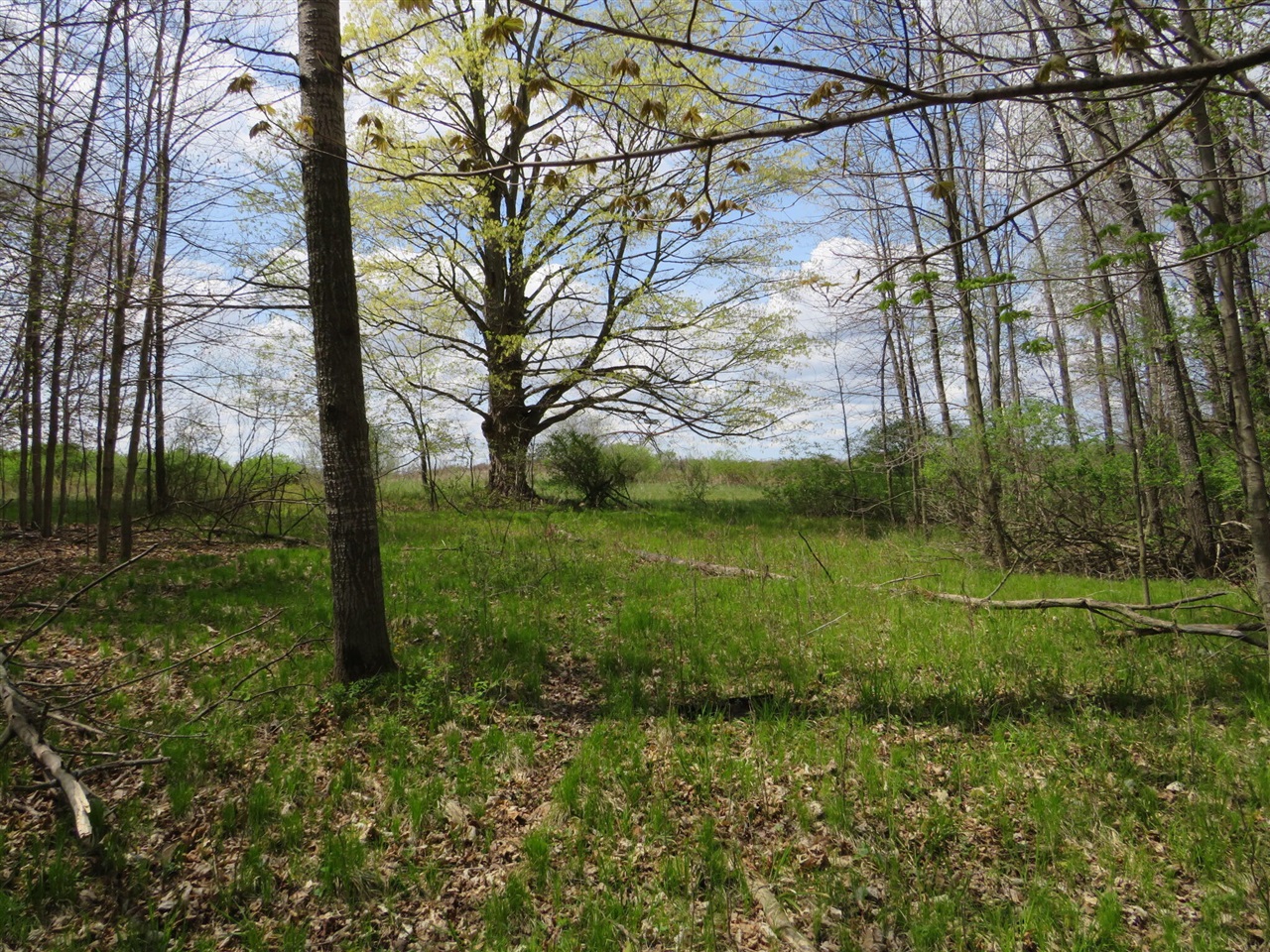 Peoples Road Blanchard, MI 49310 - Photo 17 of 26