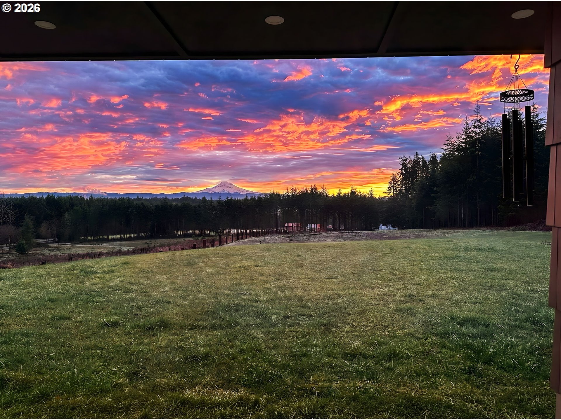 527 Tennessee Road Winlock, WA 98596 - Photo 3 of 48 a view of a yard