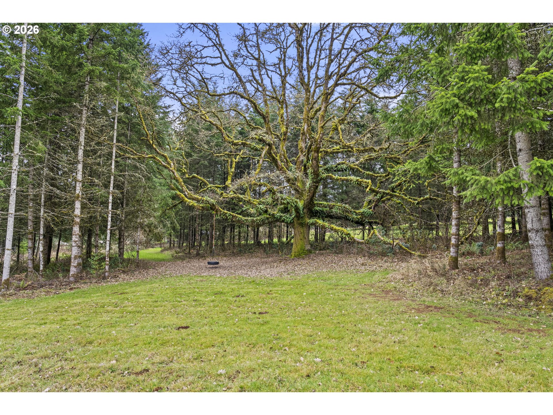 527 Tennessee Road Winlock, WA 98596 - Photo 41 of 48 a backyard of a house with lots of green trees