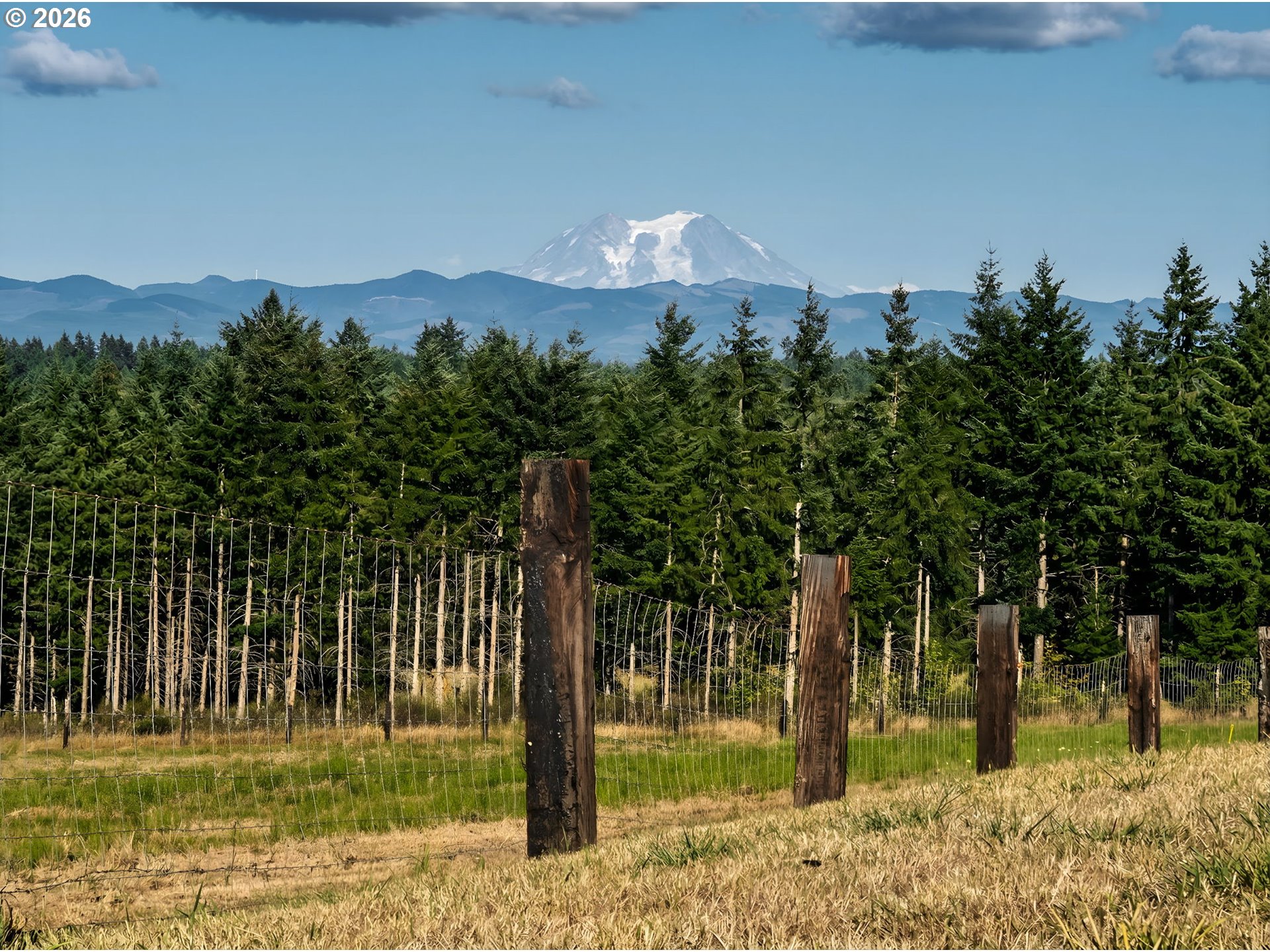 527 Tennessee Road Winlock, WA 98596 - Photo 47 of 48 a view of a garden with a tree