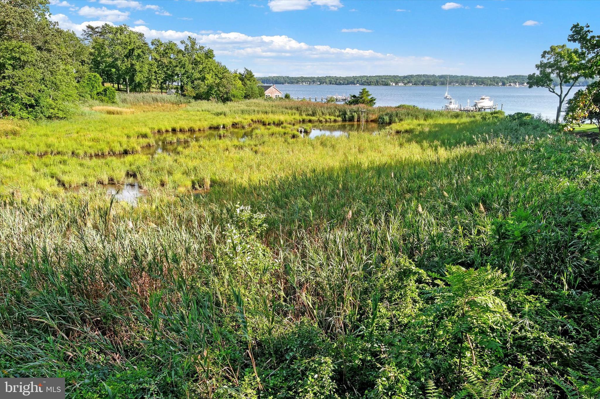 339 Eagle Hill Road Pasadena, MD 21122 - Photo 70 of 80