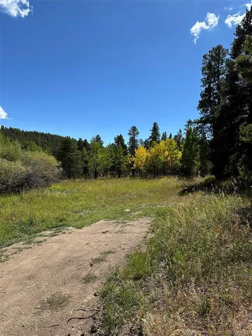 a view of a grassy field with trees in the background