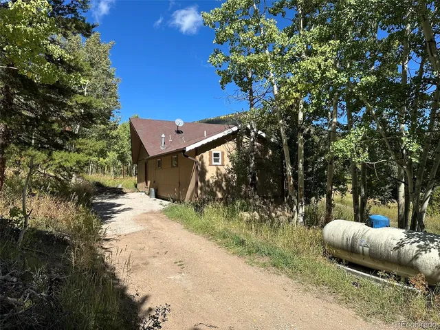 a view of a room with a tree