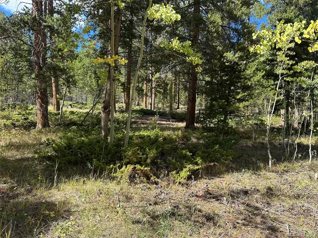 a view of a lake with lots of bushes