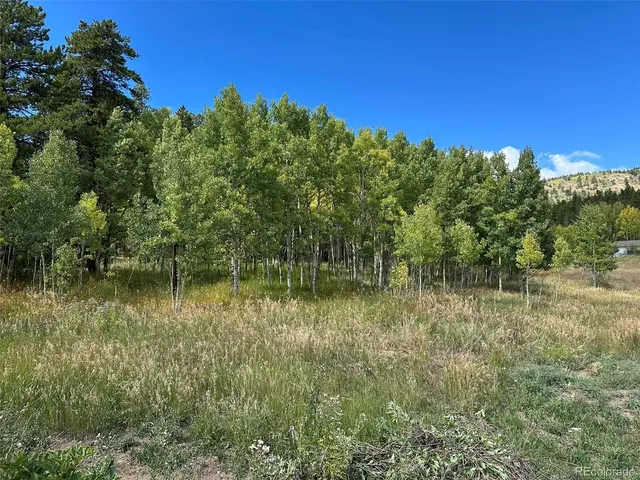 a view of lake with green space