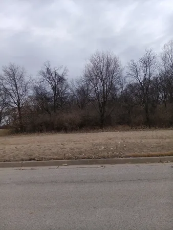 a view of a yard with a house