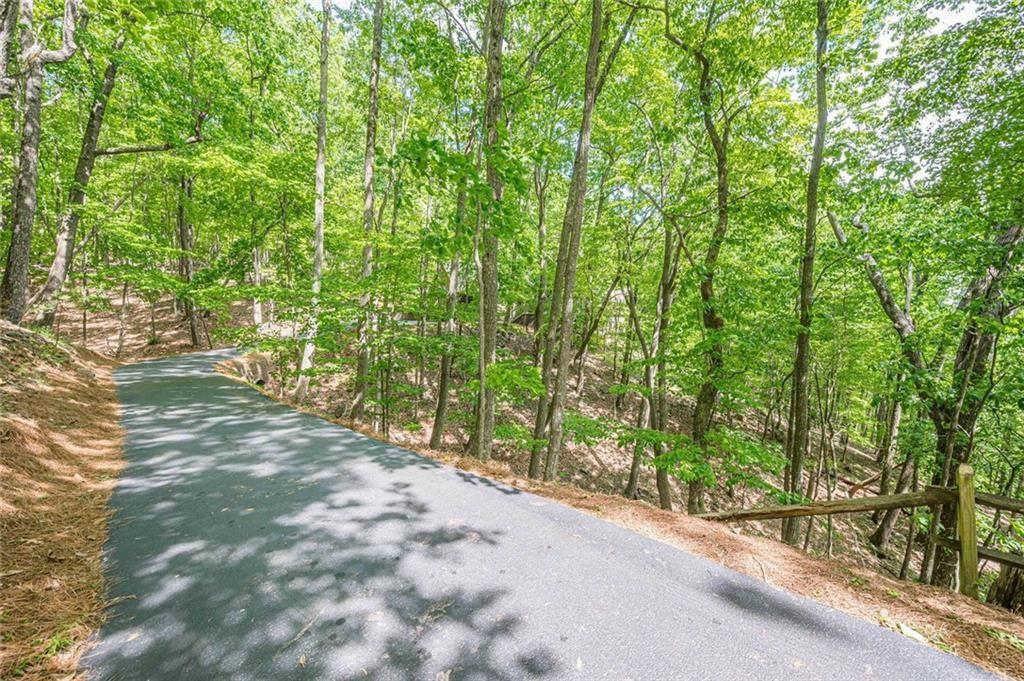 61 Deer Run Ridge Jasper, GA 30143 - Photo 46 of 50