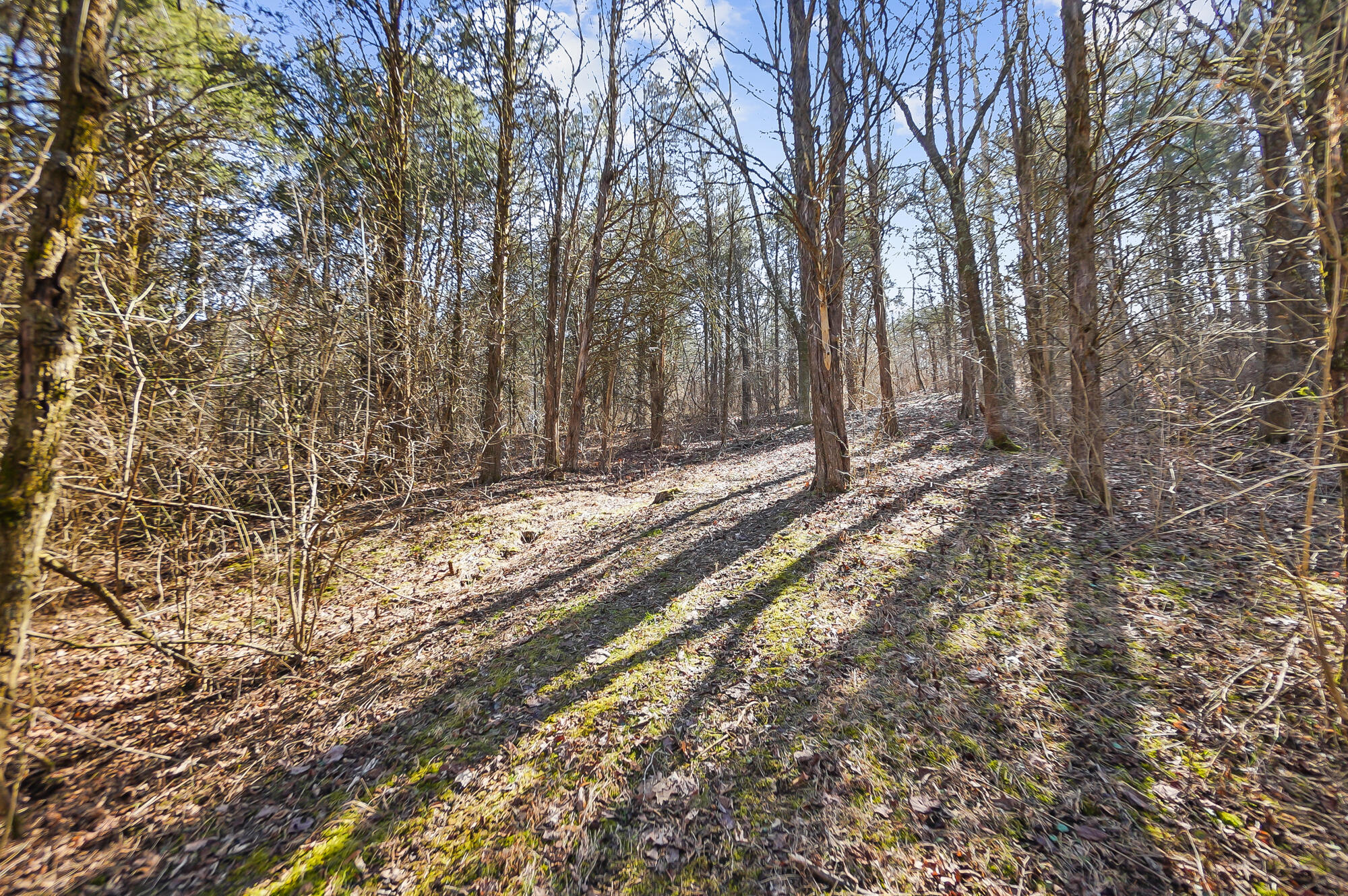 1025 Greenville Road Dry Ridge, KY 41035 - Photo 46 of 50