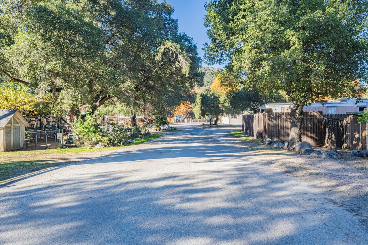 18842 Cachagua Road Carmel Valley, CA 93924 - Photo 13 of 35 a view of street along with trees