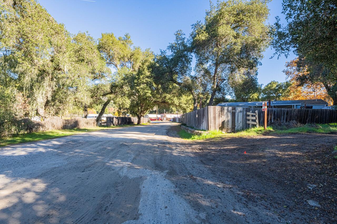18842 Cachagua Road Carmel Valley, CA 93924 - Photo 14 of 35 a view of a yard with a large tree