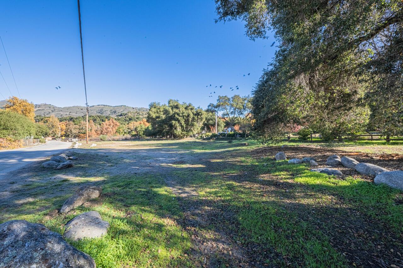 18842 Cachagua Road Carmel Valley, CA 93924 - Photo 18 of 35 a view of a trees in a yard