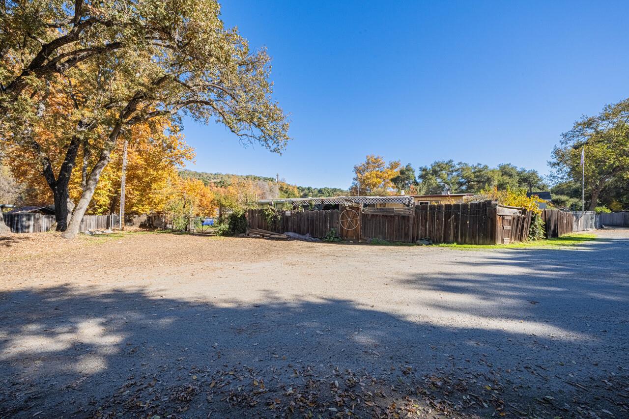 18842 Cachagua Road Carmel Valley, CA 93924 - Photo 32 of 35 a street view with large trees