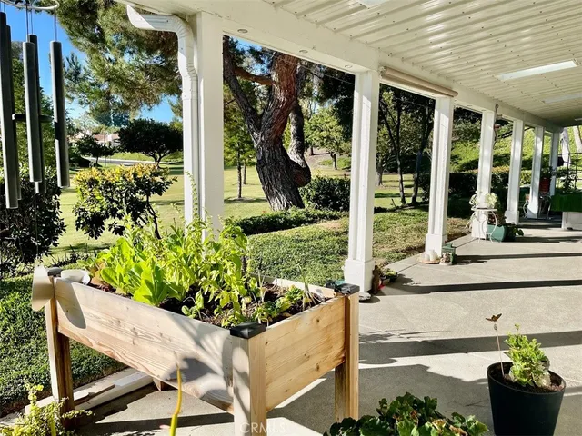 a view of a garden with chairs