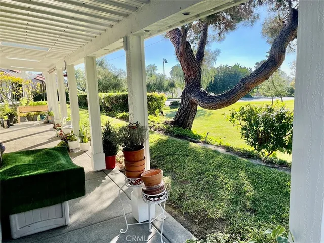 a room with lots of green walls and a potted plant
