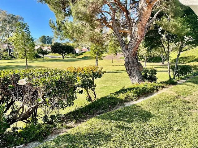 a view of a yard with a tree