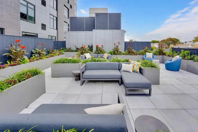 a view of a patio with couches and a potted plant