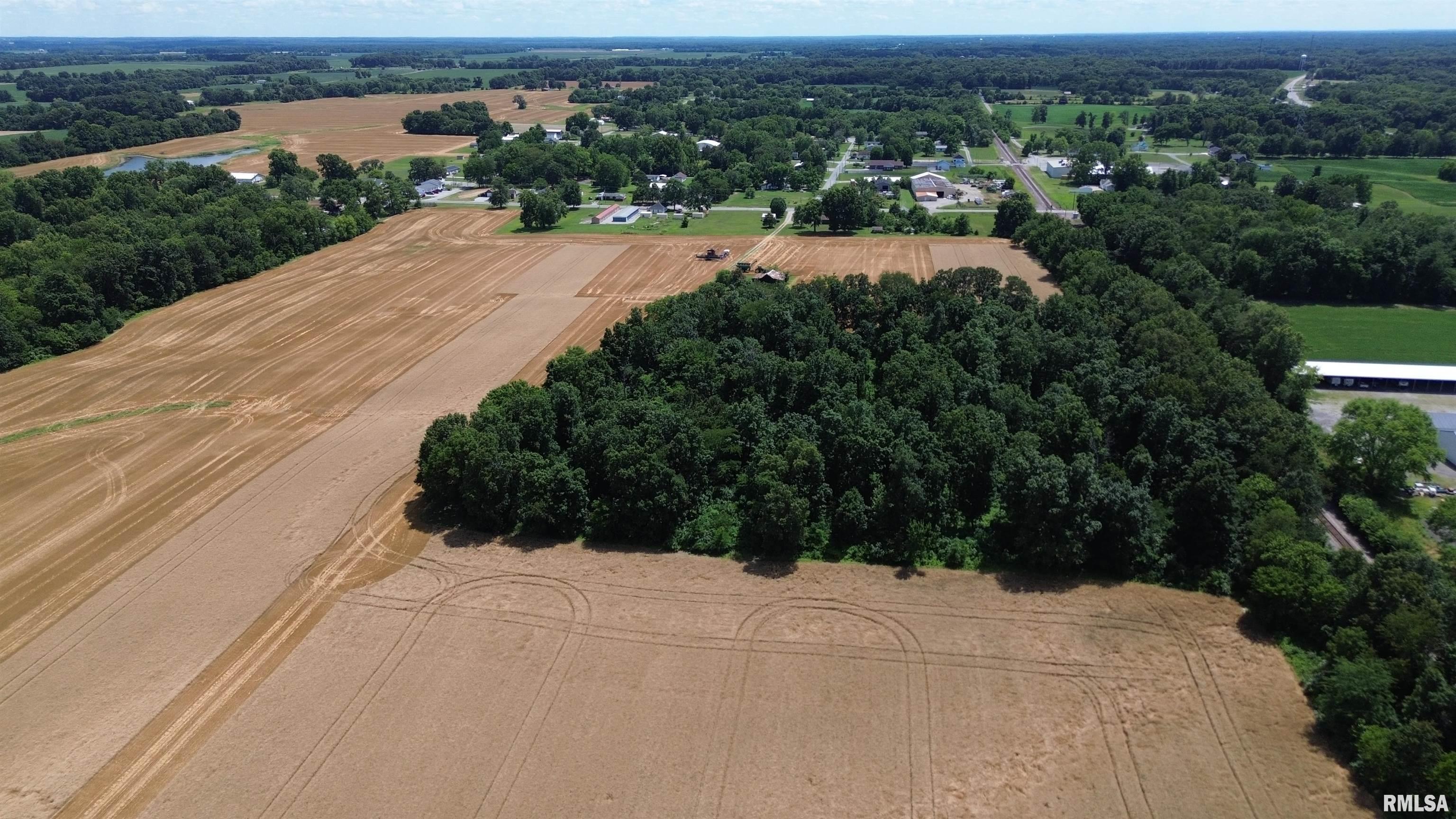 0 Ewing Road Whittington, IL 62897 - Photo 10 of 18