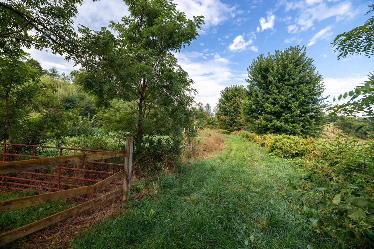 Tbd George Walton Road Mount Solon, VA 22843 - Photo 23 of 32 a backyard of a house with lots of green space