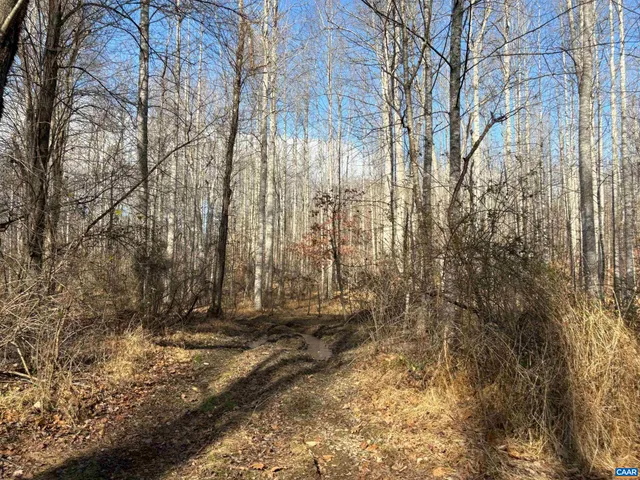 $430,000 | 24-1 Mitchell Mountain Road, Reva, VA 22735