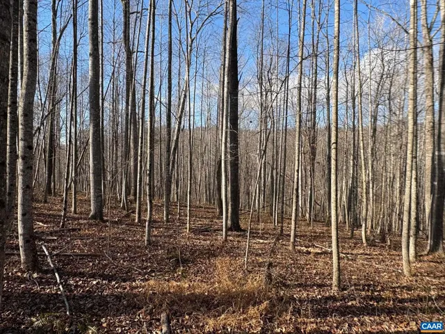 $430,000 | 24-1 Mitchell Mountain Road, Reva, VA 22735