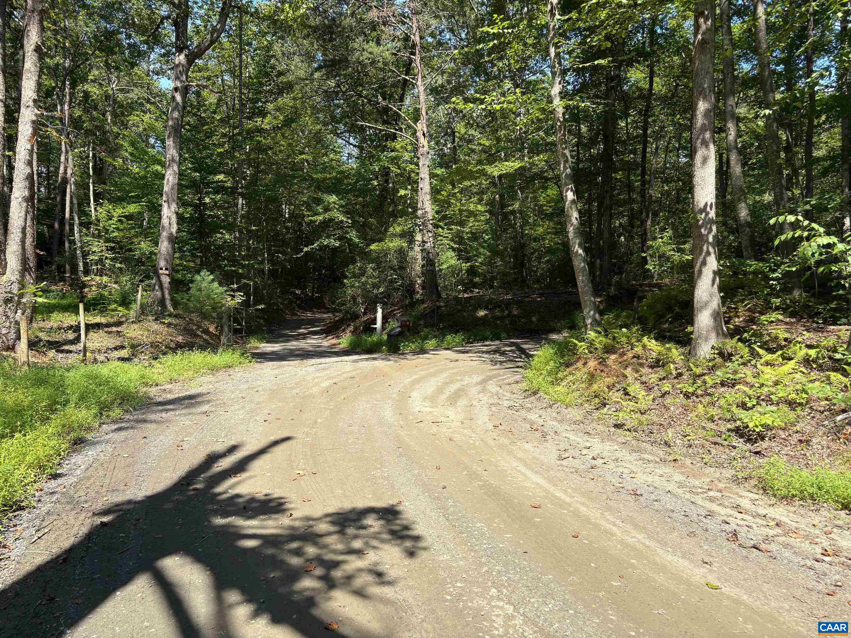 23-5a Mitchell Mountain Road Reva, VA 22735 - Photo 4 of 18 a view of a yard with trees
