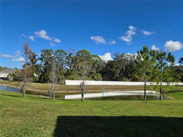 a view of a park with large trees